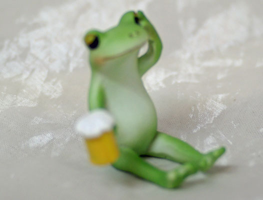 コポー カエルはつらいよーワイルドスカイwildsky・カエル専門店（東京
